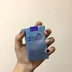 日本紙煙